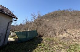 Teren de vanzare in Beclenut 