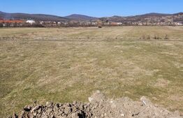 Teren de vânzare Viișoara - 175937TV | BLITZ Bistriţa | Poza1