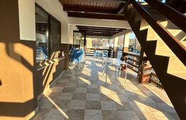 CLADIRE MIXTA DE VANZARE IN COMUNA DUMITRA, OPORTUNITATE DE INVESTITIE 