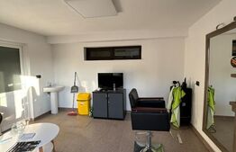 CLADIRE MIXTA DE VANZARE IN COMUNA DUMITRA, OPORTUNITATE DE INVESTITIE 