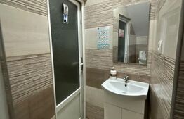 CLADIRE MIXTA DE VANZARE IN COMUNA DUMITRA, OPORTUNITATE DE INVESTITIE 