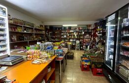 CLADIRE MIXTA DE VANZARE IN COMUNA DUMITRA, OPORTUNITATE DE INVESTITIE 