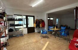 CLADIRE MIXTA DE VANZARE IN COMUNA DUMITRA, OPORTUNITATE DE INVESTITIE 