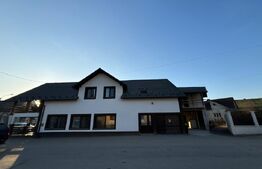 CLADIRE MIXTA DE VANZARE IN COMUNA DUMITRA, OPORTUNITATE DE INVESTITIE 