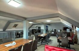 CLADIRE MIXTA DE VANZARE IN COMUNA DUMITRA, OPORTUNITATE DE INVESTITIE 