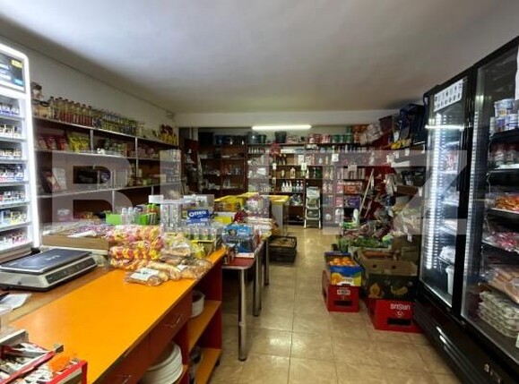 Casa de vânzare 12 camere Exterior Nord - 190647CV | BLITZ Bistriţa | Poza4