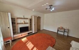 Apartament 2 camere - zona Independentei