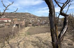 Casa si teren in Ocnita 