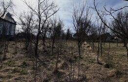 Casa si teren in Ocnita 