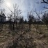 Casa de vânzare 2 camere Teaca - 190786CV - Poza 1 din 9 | BLITZ Bistriţa | Poza1