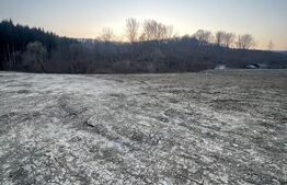 Viitor teren intravilan, parcele cu utilitati, Drumul Tarpiului 