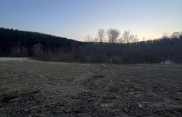 Viitor teren intravilan, parcele cu utilitati, Drumul Tarpiului 