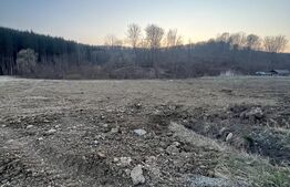 Viitor teren intravilan, parcele cu utilitati, Drumul Tarpiului 