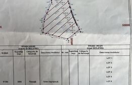 Viitor teren intravilan, parcele cu utilitati, Drumul Tarpiului 