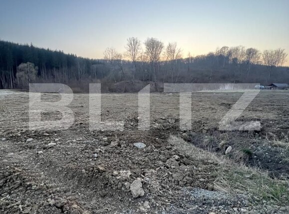 Teren de vânzare Exterior Nord - 190851TV | BLITZ Bistriţa | Poza3