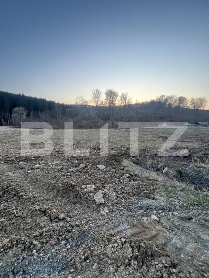 Teren de vânzare Exterior Nord - 190851TV | BLITZ Bistriţa | Poza3
