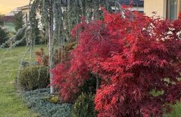 Proprietate exclusivista de vanzare - Valea Sigmirului 