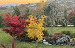 Proprietate exclusivista de vanzare - Valea Sigmirului 