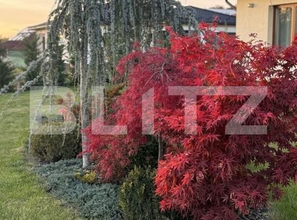 Casa de vânzare 4 camere Centura - 191083CV | BLITZ Bistriţa | Poza7