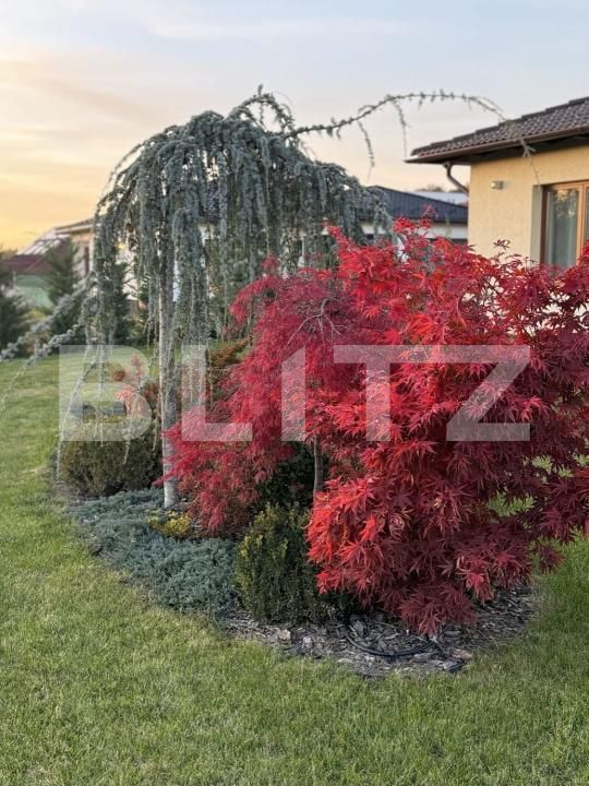 Casa de vânzare 4 camere Centura - 191083CV | BLITZ Bistriţa | Poza7