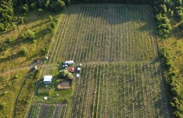 Afacere la Cheie: Plantație Afine BIO – 1.93 Ha – Profit Garantat