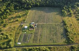 Afacere la Cheie: Plantație Afine BIO – 1.93 Ha – Profit Garantat