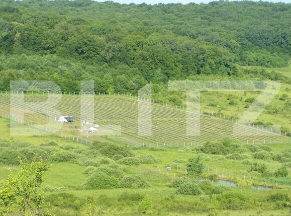 Teren de vânzare Exterior Sud - 191084TV | BLITZ Bistriţa | Poza1