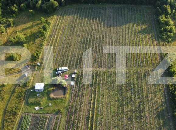 Teren de vânzare Exterior Sud - 191084TV | BLITZ Bistriţa | Poza6