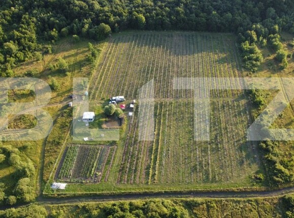 Teren de vânzare Exterior Sud - 191084TV | BLITZ Bistriţa | Poza2