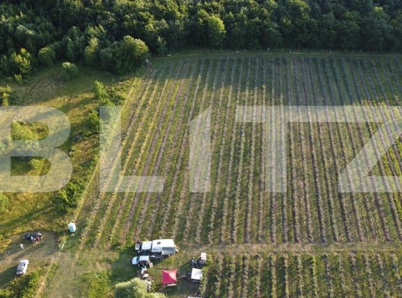 Teren de vânzare Exterior Sud - 191084TV | BLITZ Bistriţa | Poza3
