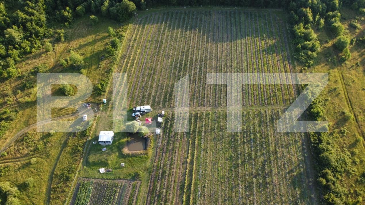 Teren de vânzare Exterior Sud - 191084TV | BLITZ Bistriţa | Poza6