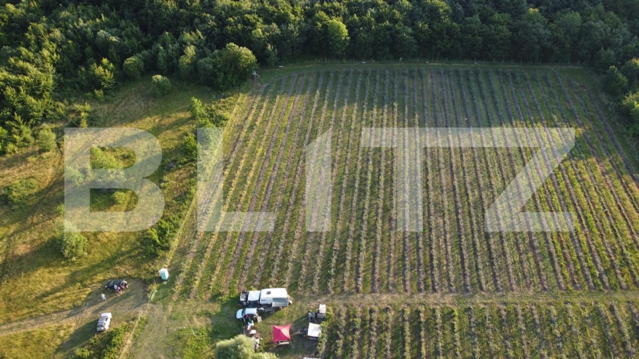 Teren de vânzare Exterior Sud - 191084TV | BLITZ Bistriţa | Poza3