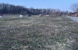 Parcele la padure in extensie intravilan , Drumul Tarpiului 