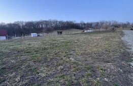 Parcele la padure in extensie intravilan , Drumul Tarpiului 