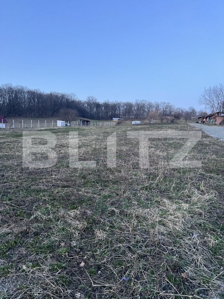 Teren de vânzare Nord - 191085TV | BLITZ Bistriţa | Poza3