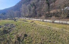 Casa de vacanta-Exclusivitate-Cumparator Comision 0-Sat Fiad ( Comuna Telciu)