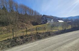 Casa de vacanta-Exclusivitate-Cumparator Comision 0-Sat Fiad ( Comuna Telciu)