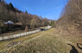 Casa de vacanta-Exclusivitate-Cumparator Comision 0-Sat Fiad ( Comuna Telciu)