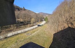 Casa de vacanta-Exclusivitate-Cumparator Comision 0-Sat Fiad ( Comuna Telciu)