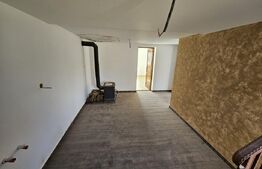 Casa de vacanta-Exclusivitate-Cumparator Comision 0-Sat Fiad ( Comuna Telciu)