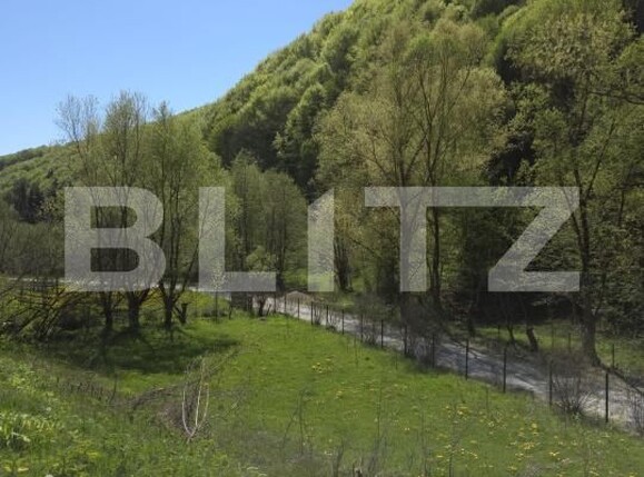 Casa de vânzare 6 camere Nasaud - 191125CV | BLITZ Bistriţa | Poza5