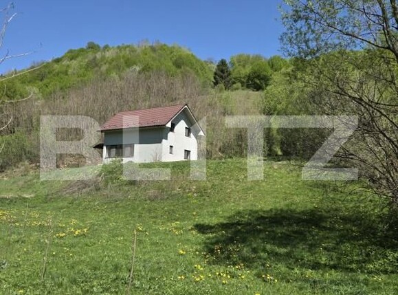 Casa de vânzare 6 camere Nasaud - 191125CV | BLITZ Bistriţa | Poza1