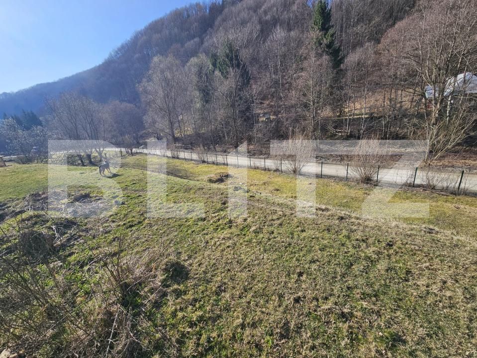 Casa de vânzare 6 camere Nasaud - 191125CV | BLITZ Bistriţa | Poza5