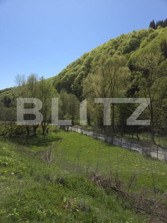 Casa de vânzare 6 camere Nasaud - 191125CV | BLITZ Bistriţa | Poza5