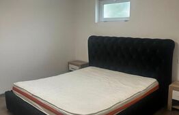 Apartament 2 camere , decomandat , parter , ZONA DECEBAL