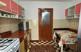 APARTAMENT CU 4 CAMERE, LANGA MUZEU 