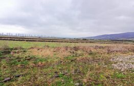 Teren 10 ari – Zona Aerodrom | Zonă în dezvoltare | Fără restricții