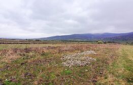 Teren 10 ari – Zona Aerodrom | Zonă în dezvoltare | Fără restricții