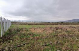 Teren 10 ari – Zona Aerodrom | Zonă în dezvoltare | Fără restricții