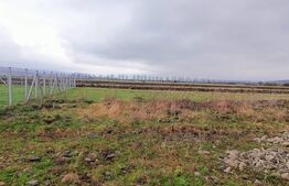 Teren 10 ari – Zona Aerodrom | Zonă în dezvoltare | Fără restricții